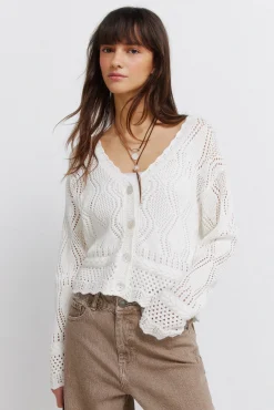 New Springfield Cardigan pointelle marron