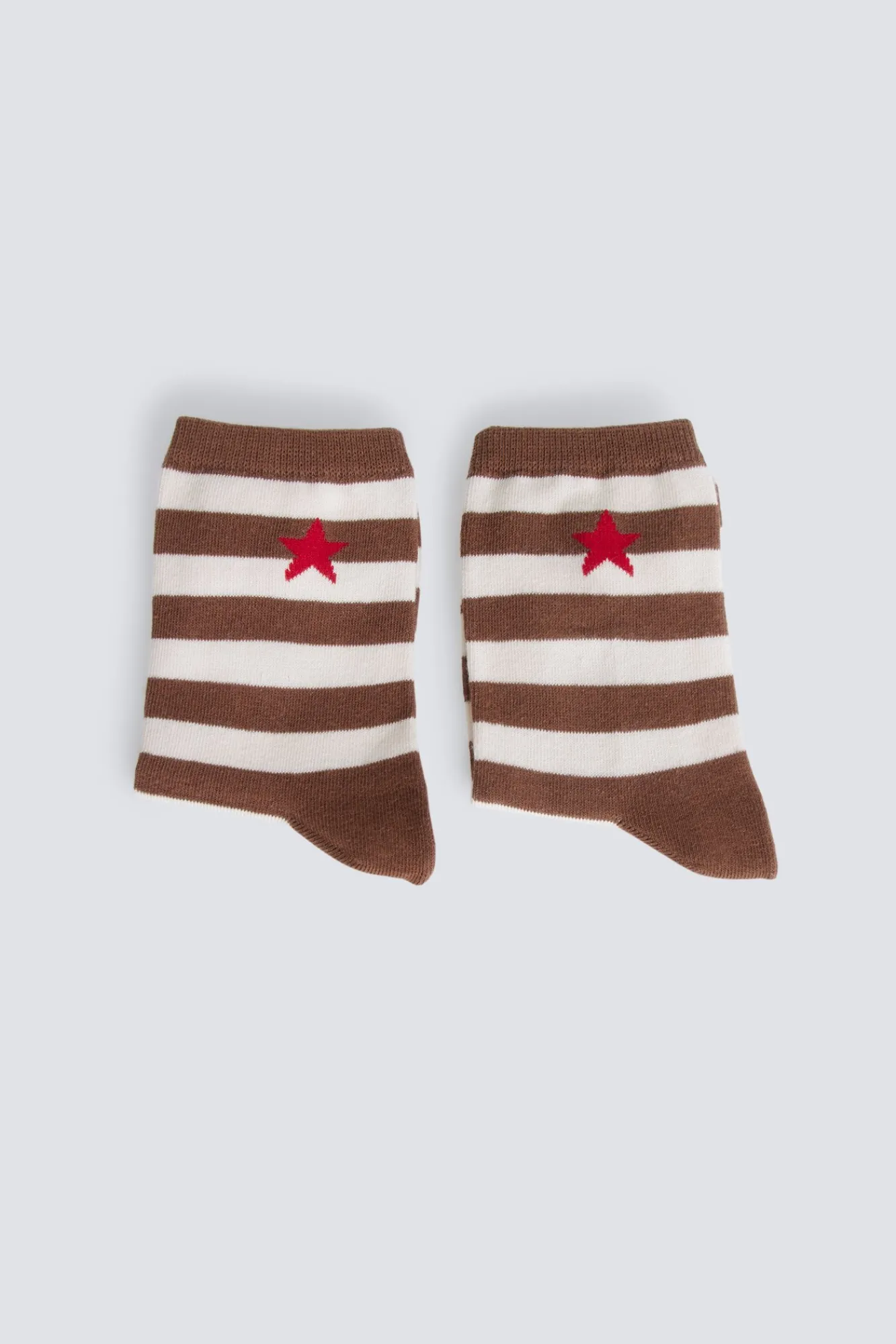 Outlet Springfield Chaussette longue à rayures étoile marron