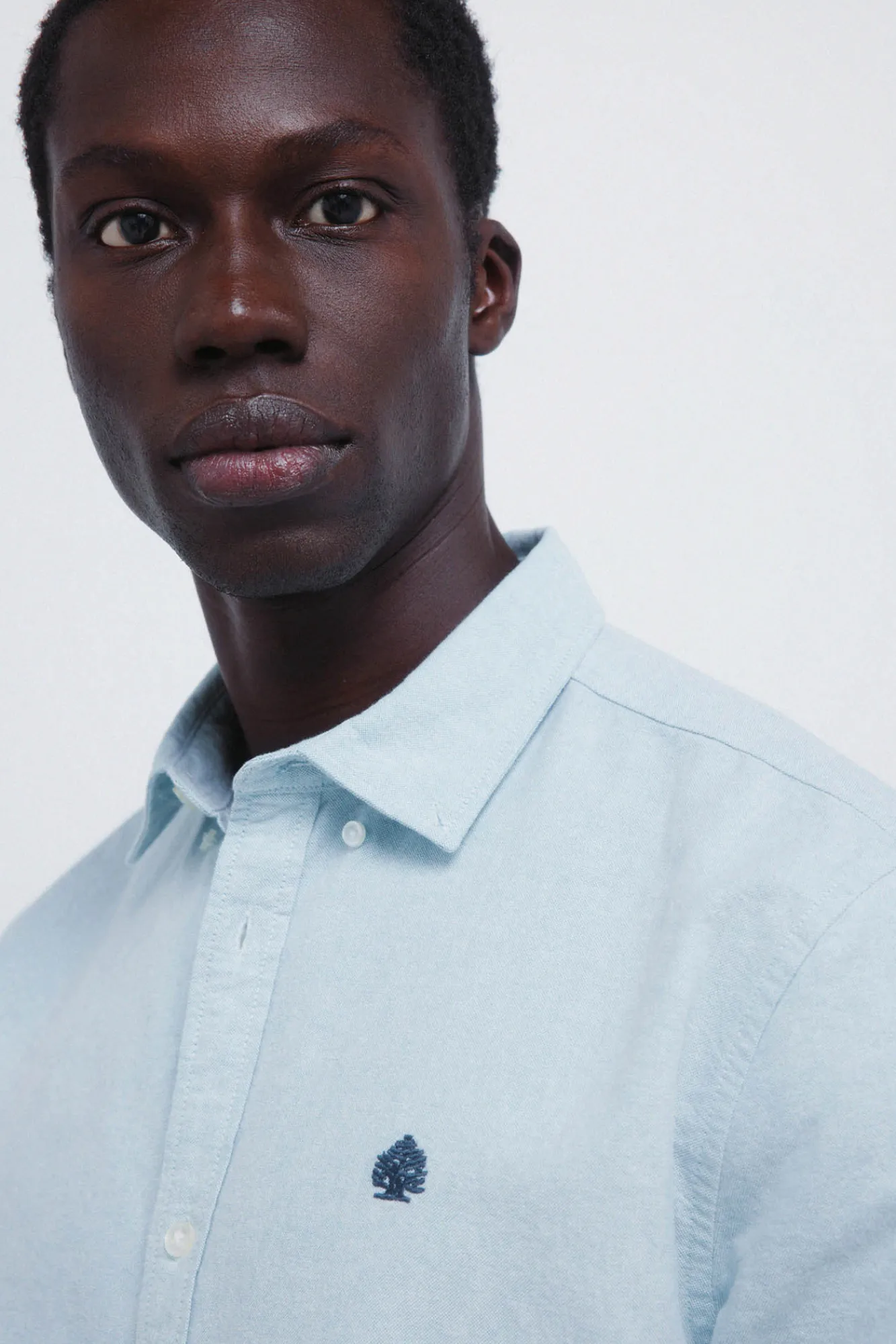 Best Springfield Chemise oxford à coudières