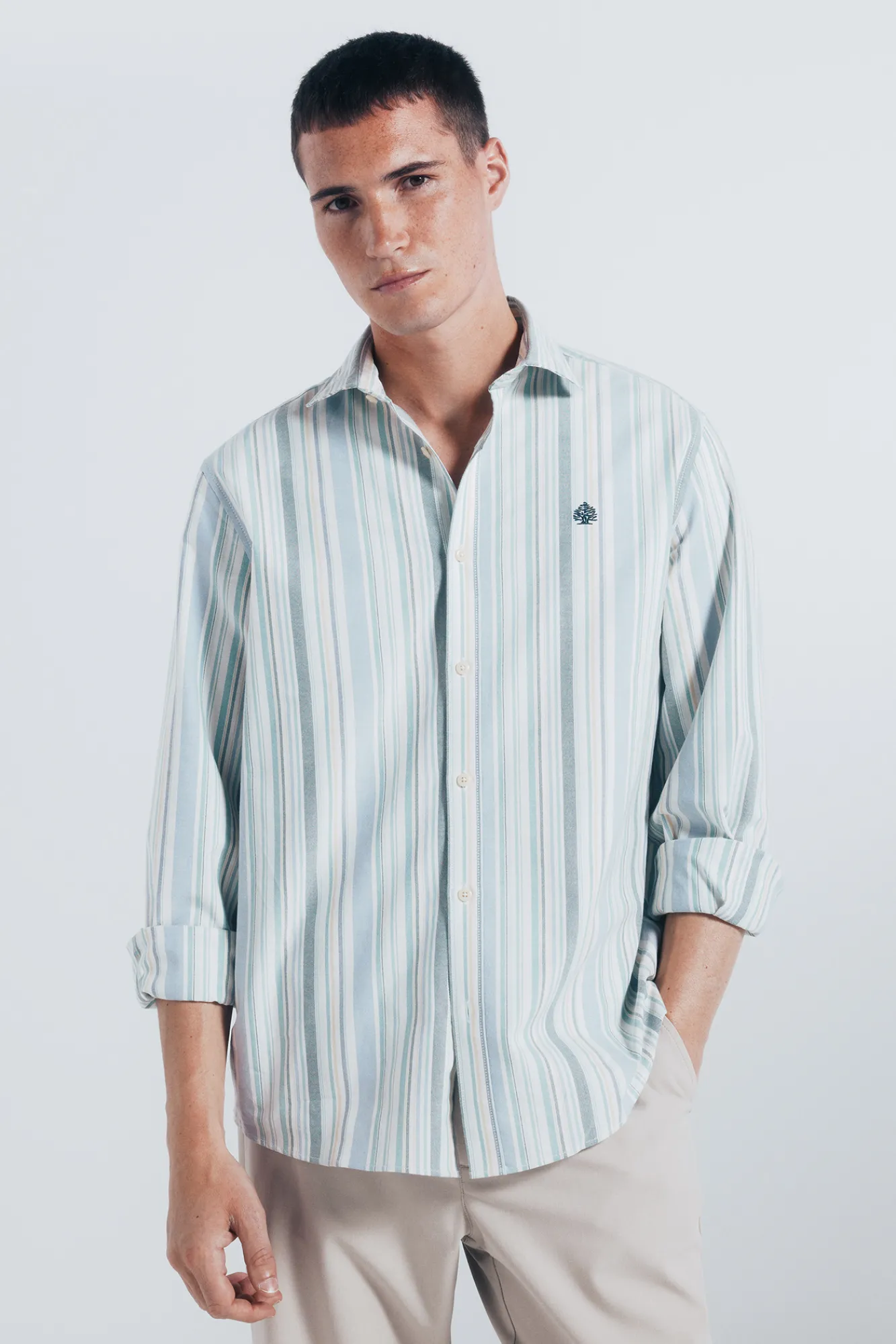 Discount Springfield Chemise Oxford rayures vert