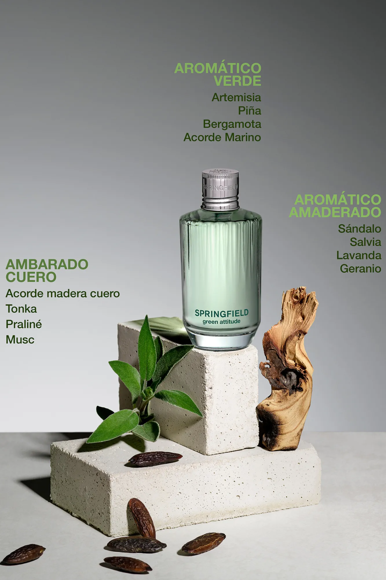 Discount Springfield GREEN ATTITUDE bleu