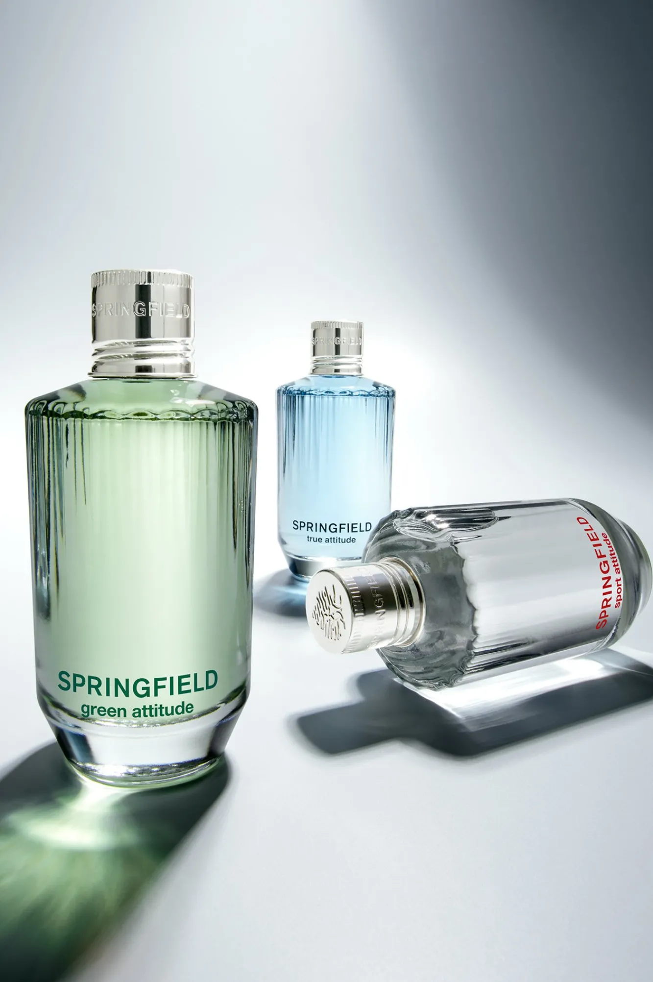 Discount Springfield GREEN ATTITUDE bleu