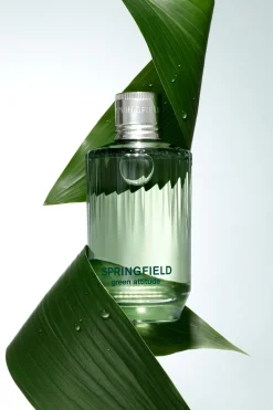 Discount Springfield GREEN ATTITUDE bleu
