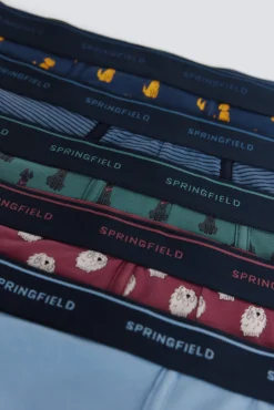 Online Springfield Lot de 3 boxers imprimés en coton vert