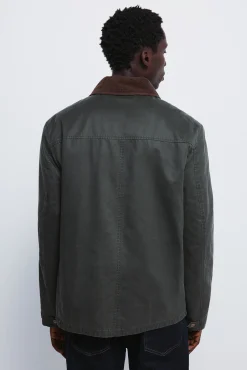 Springfield Parka courte avec col en velours côtelé