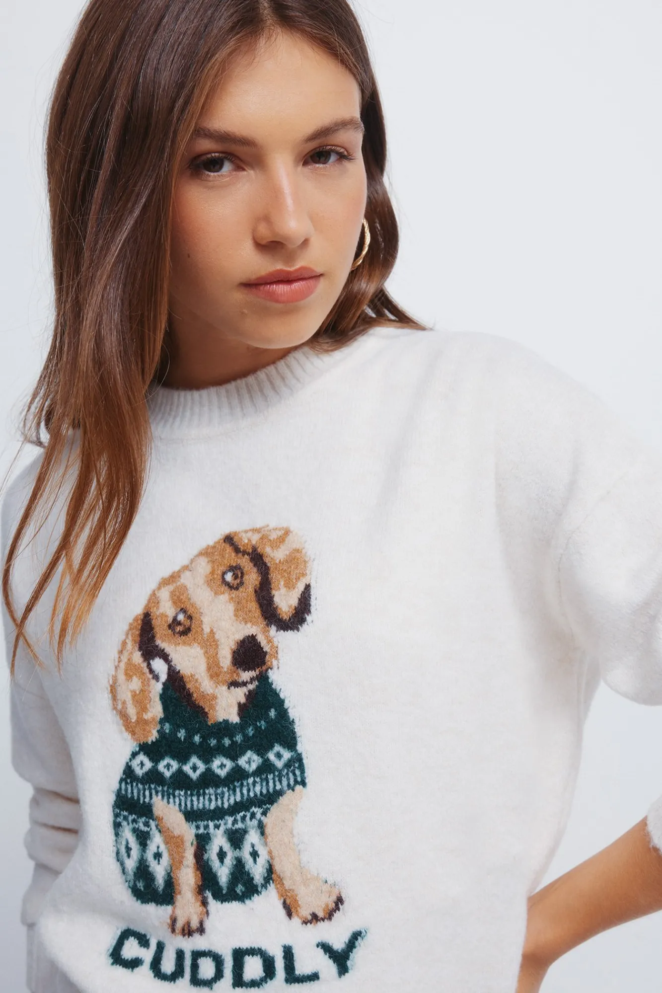 Online Springfield Pull intarsia pour chien «Cuddly» blanc