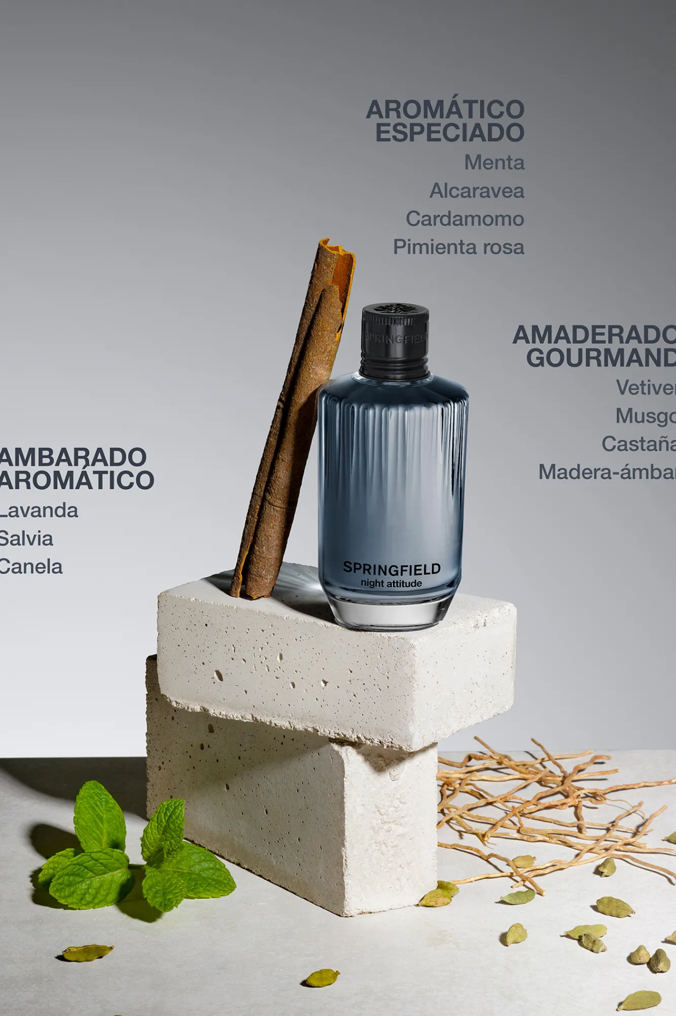 Best Springfield SPF NIGHT ATTITUDE 100 ML bleu