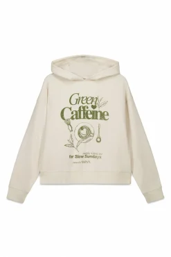 Outlet Springfield Sweat-shirt à capuche marron