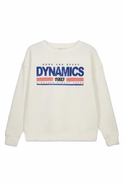 Online Springfield Sweat-shirt " Dinamics" marron