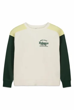 Outlet Springfield Sweat-shirt tricolore marron
